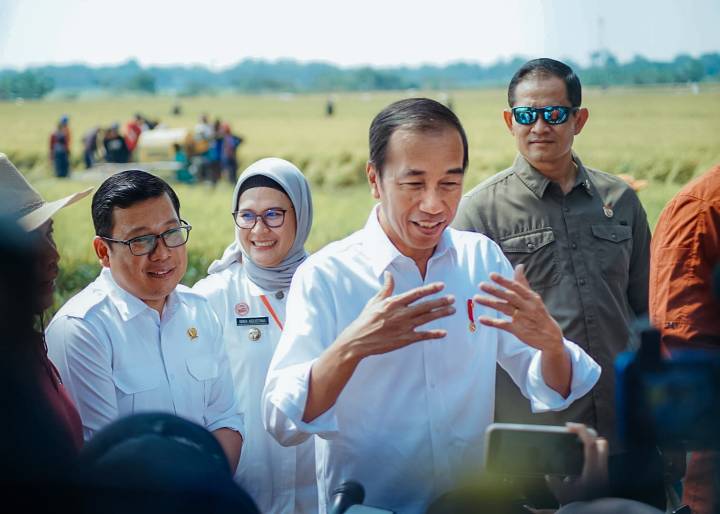 Panen Raya di Indramayu, Presiden Pastikan Produksi Padi Baik