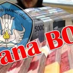 dana bos