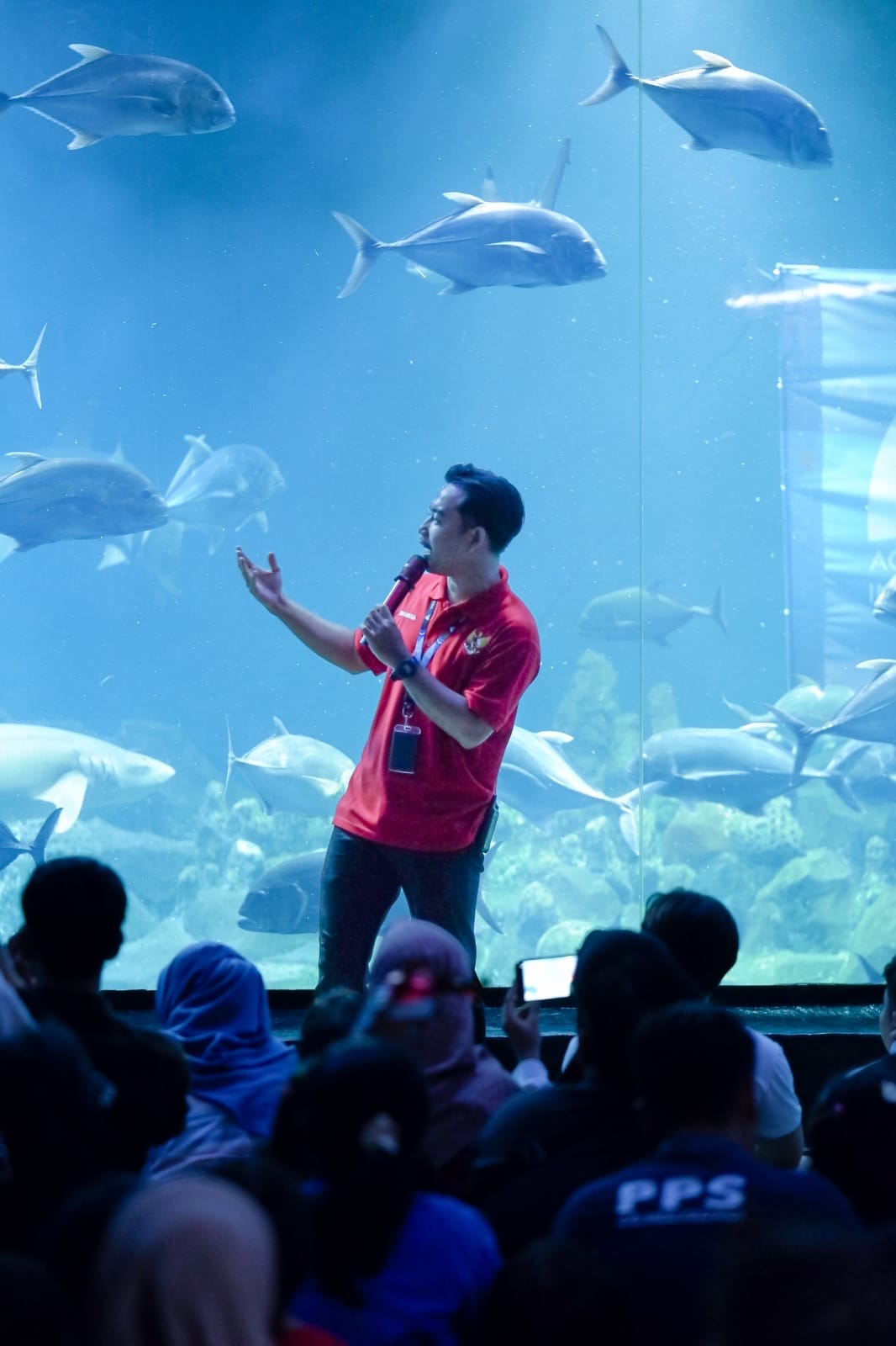 Rayakan Imlek Bersama Keindahan Bawah Laut Di Aquarium Indonesia Pangandaran, Sambut Semangat Baru Sebelum Penutupan Sementara