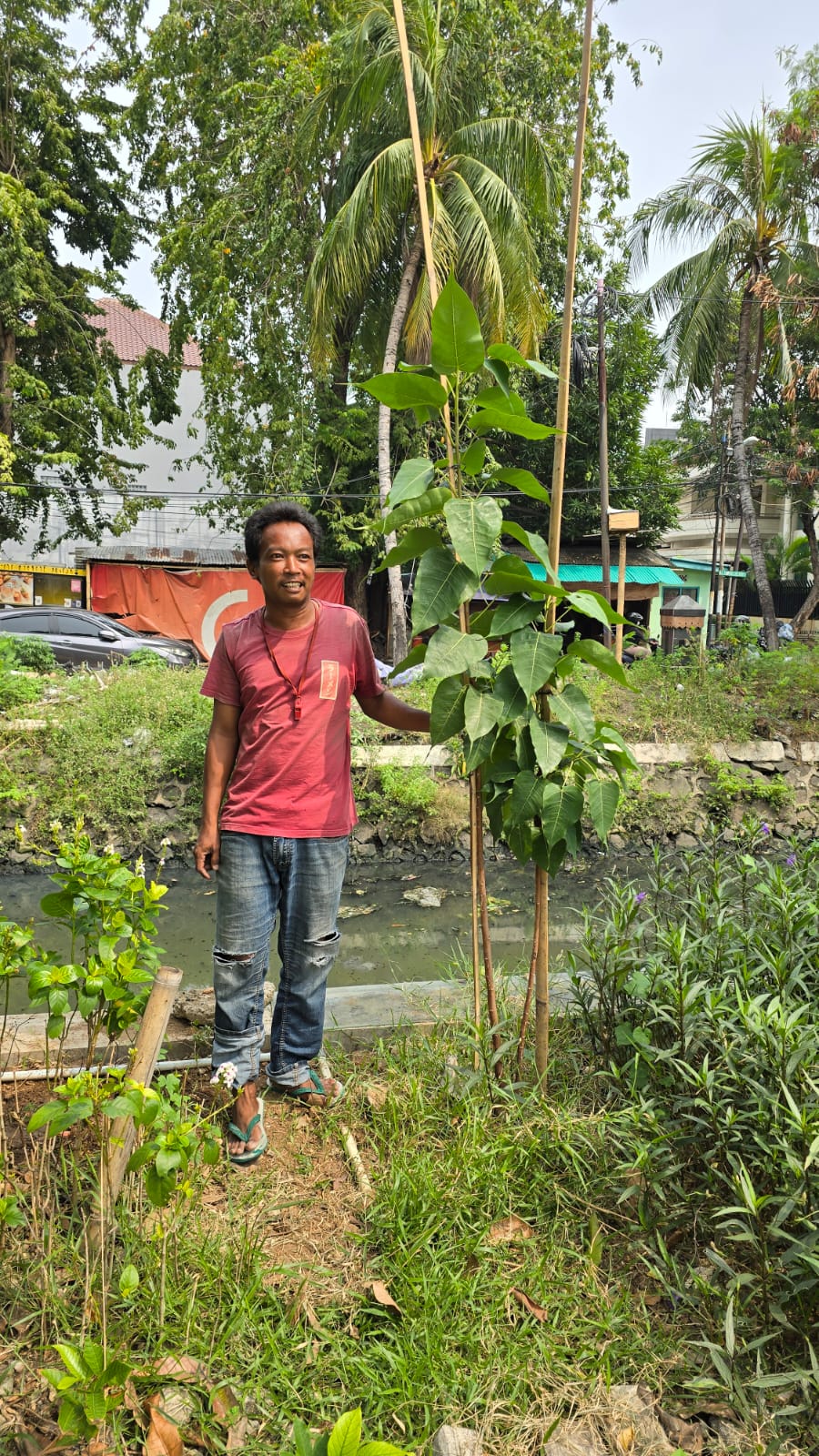 Warga Pademangan Pertanyakan Penebangan Pohon di Lingkungan 